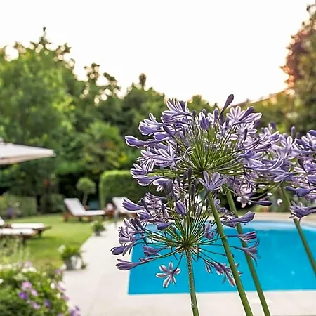 Ristorante Ca' Vittoria 3* Tigliole